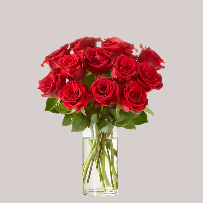 Roses in Vase