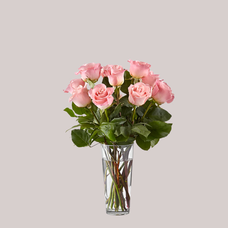 Roses in Vase