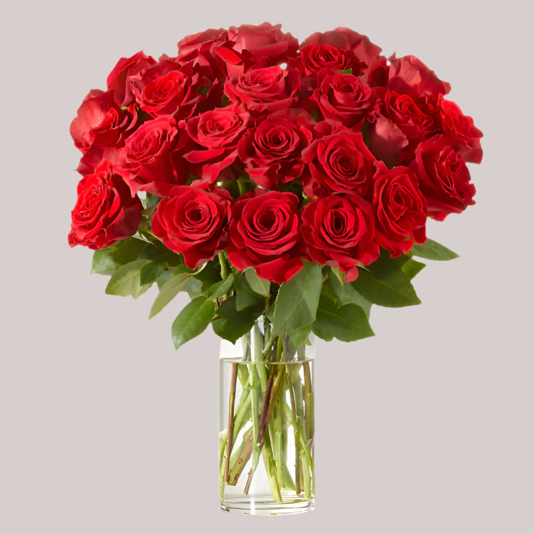 Roses in Vase