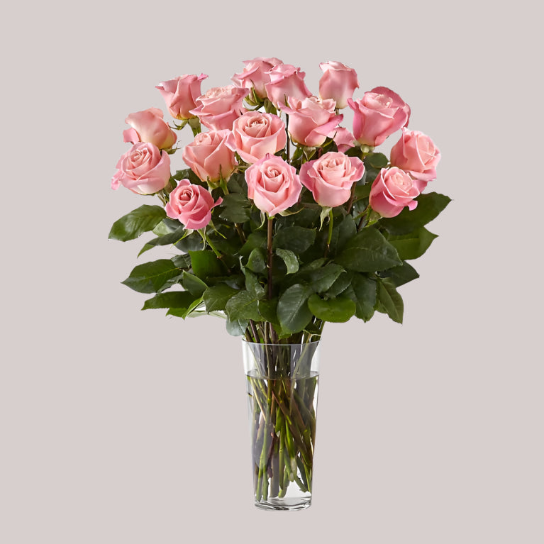 Roses in Vase