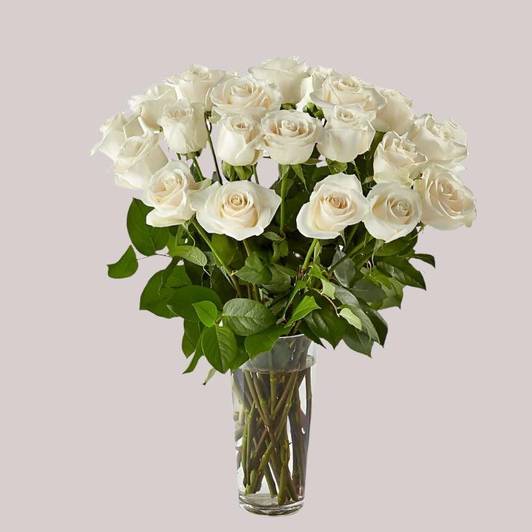 Roses in Vase