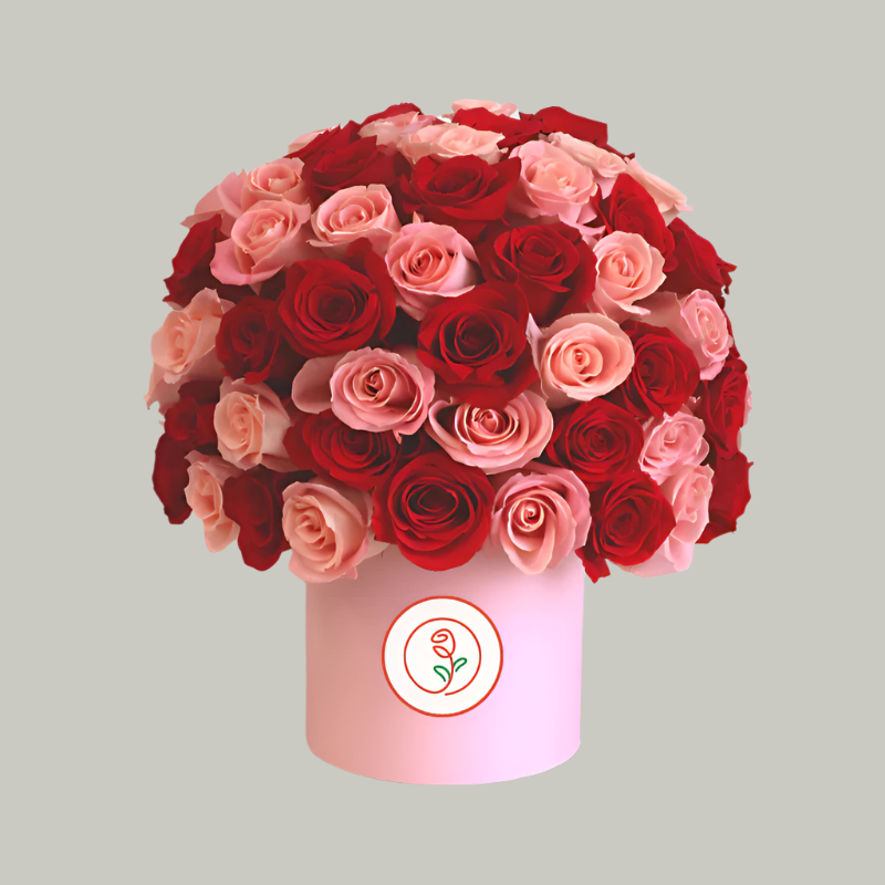 Pink and Red HatBox